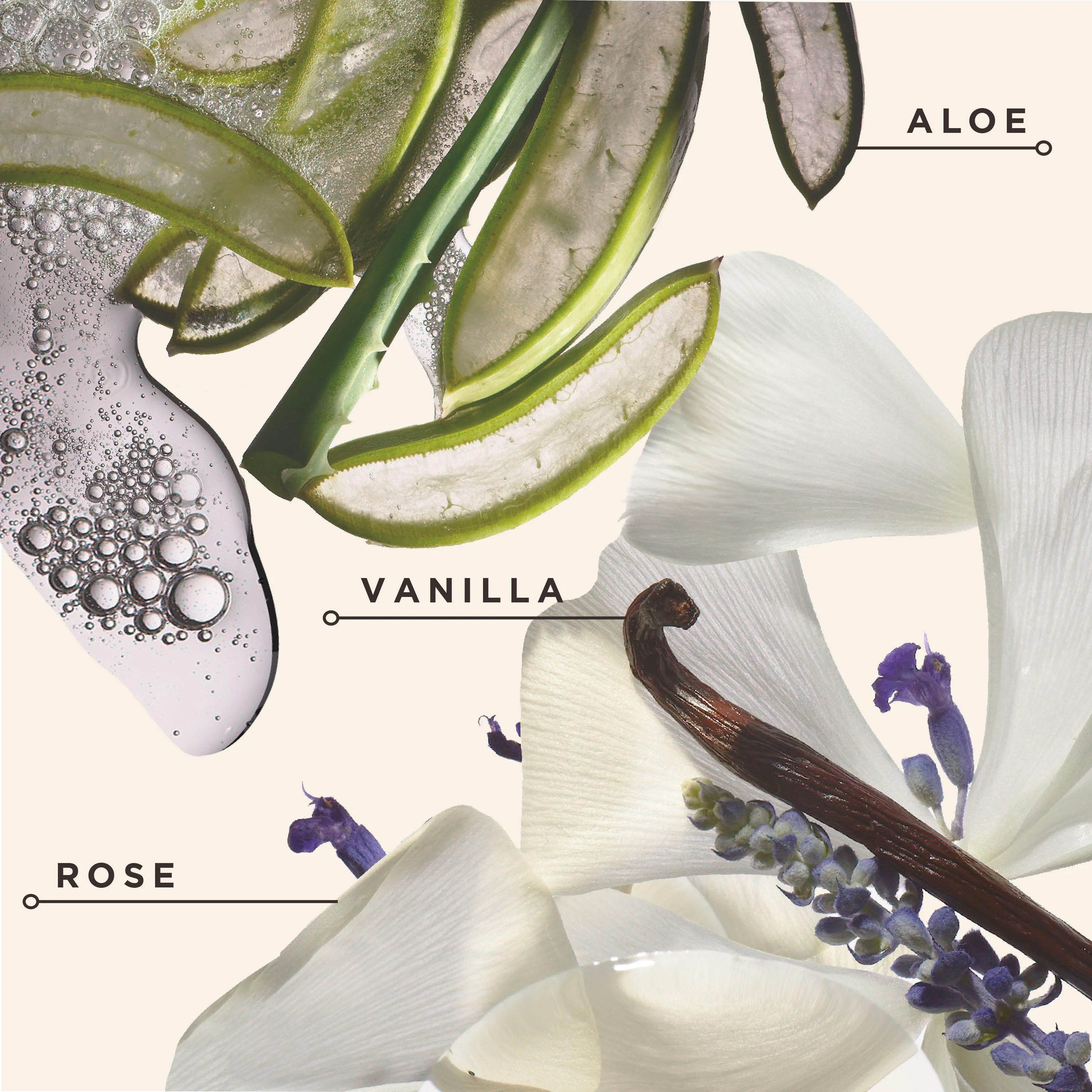 Black Vanilla Moisture & Shine Sulfate Free Shampoo - Image 5